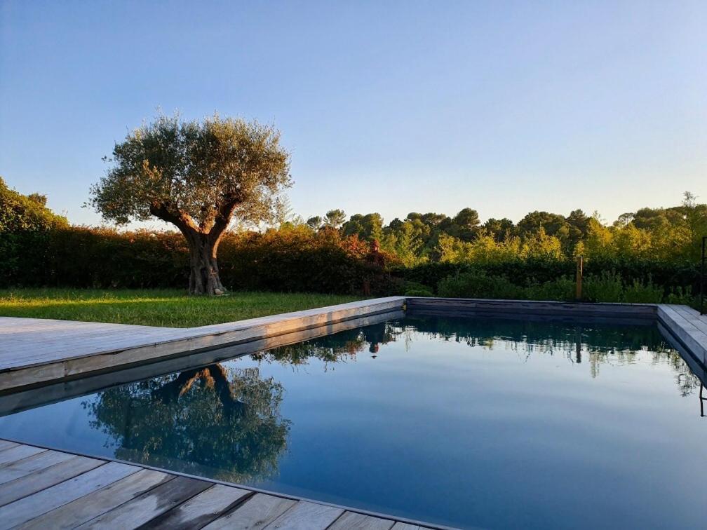 Villa L'Ensoleillee Roquefort Les Pins Dış mekan fotoğraf